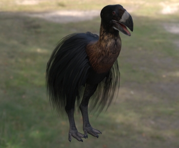 Modern Poultry Animal-ID:344517956