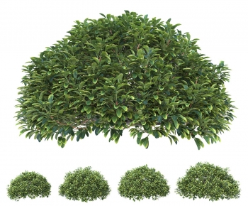 Modern Shrubbery-ID:902364974
