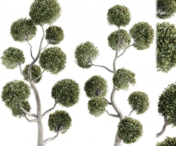 Modern Tree-ID:127273087