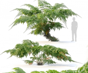 Modern Tree/shrub/grass-ID:172638961