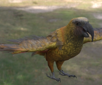 Modern Flying Animals-ID:279053939
