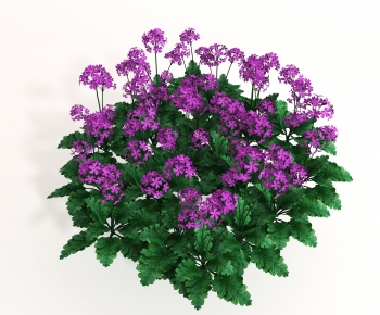 Modern Plant-ID:170072089