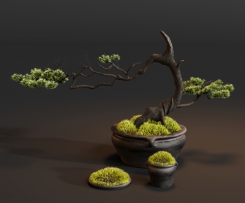 New Chinese Style Bonsai-ID:278631934