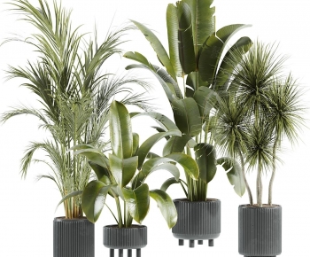 Modern Ground Green Plant Potted Plants-ID:228432892
