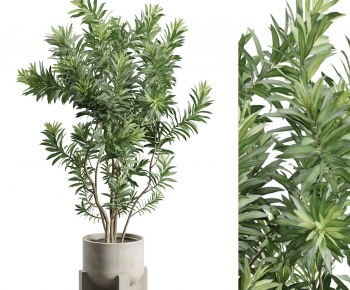 Modern Ground Green Plant Potted Plants-ID:490432981