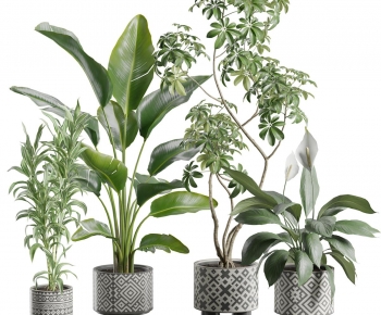 Modern Ground Green Plant Potted Plants-ID:811202053