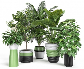 Modern Ground Green Plant Potted Plants-ID:869441037