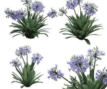 Modern Flowers And Grass-ID:252887016