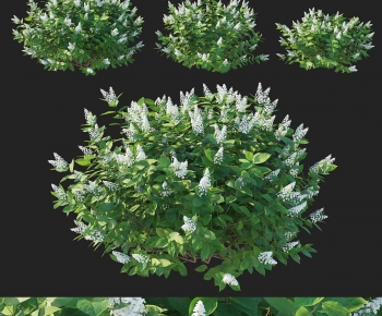 Modern Shrubbery-ID:850016121