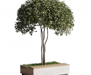 Modern Flower Bed, Flower Bowl, Flower Box-ID:964447981