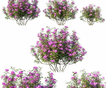 Modern Shrubbery-ID:490165007