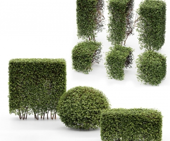 Modern Shrubbery-ID:528517013