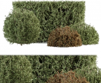Modern Shrubbery-ID:762159872