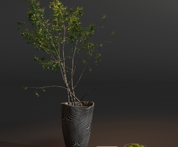 Modern Ground Green Plant Potted Plants-ID:191967017