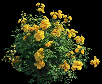 Modern Flowers And Grass-ID:665575983