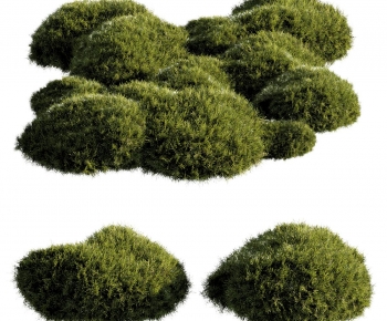 Modern Shrubbery-ID:476377017