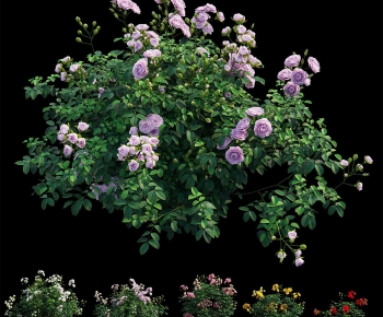 Modern Flowers And Grass-ID:559719093