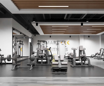 Modern Gym-ID:667129048