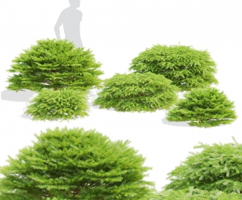 Modern Shrubbery-ID:866959155