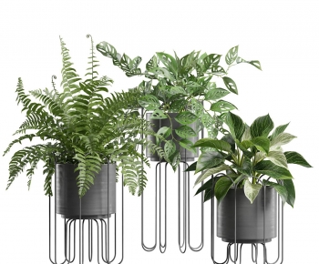 Modern Ground Green Plant Potted Plants-ID:520011901