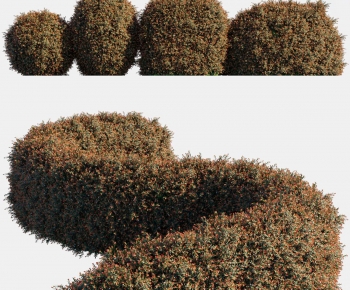 Modern Shrubbery-ID:339147096
