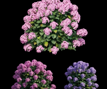 Modern Shrubbery-ID:136688955