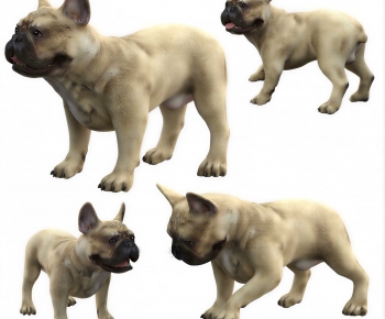 Modern Animal Dog-ID:905893094
