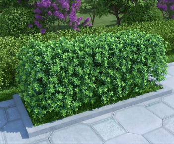 Modern Shrubbery-ID:359352114