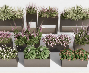 Modern Flower Bed, Flower Bowl, Flower Box-ID:477344049