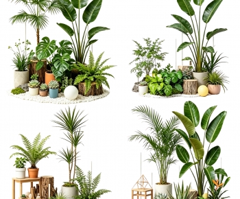 Modern Plant Landscaping-ID:240295896