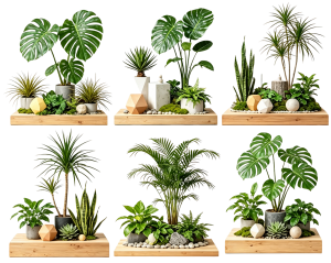 ModernPlant Leaves