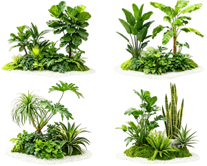 ModernPlant Leaves