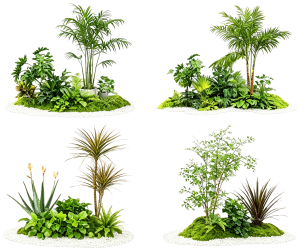 ModernPlant Leaves