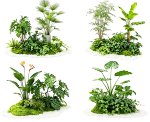 ModernPlant Leaves