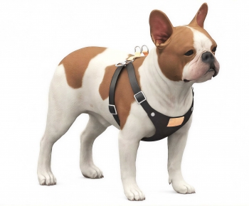 Modern Animal Dog-ID:963032963