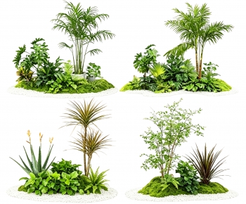 Modern Plant Landscaping-ID:442893039