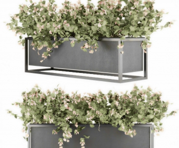 Modern Flower Bed, Flower Bowl, Flower Box-ID:483048927