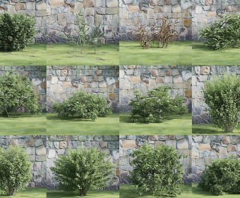 Modern Shrubbery-ID:938637979