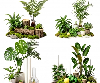 Modern Plant Landscaping-ID:398359068