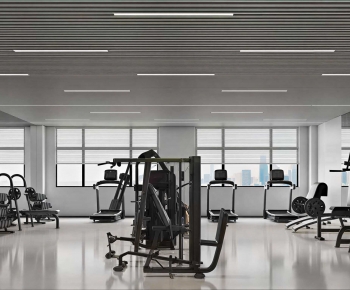 Modern Gym-ID:439441929
