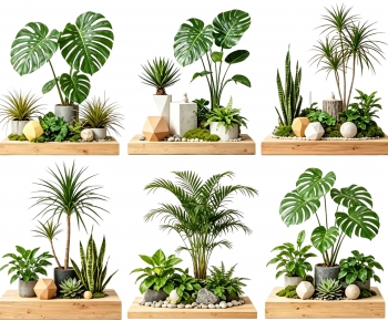Modern Plant Landscaping-ID:202368972