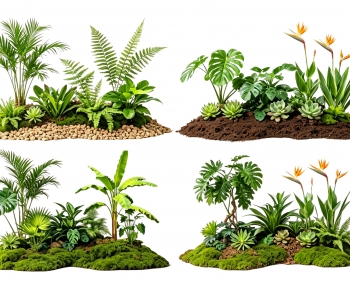 Modern Plant Landscaping-ID:916110045