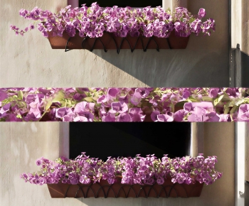 Modern Flower Bed, Flower Bowl, Flower Box-ID:734241076