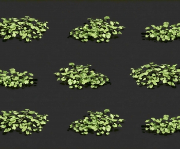 Modern Plant-ID:198393111