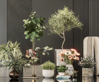 Modern Ground Green Plant Potted Plants-ID:900362018