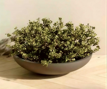 Modern Potted Green Plant-ID:710880879