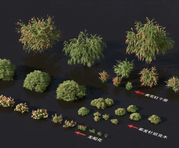 Modern Shrubbery-ID:977514982