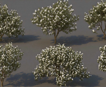 Modern Tree-ID:293668995