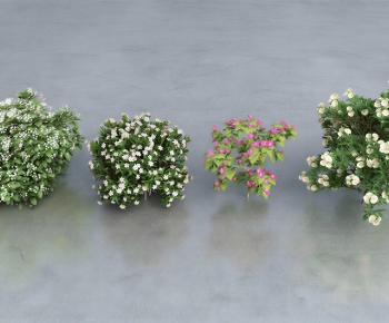 Modern Shrubbery-ID:323267945