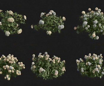 Modern Shrubbery-ID:602535969